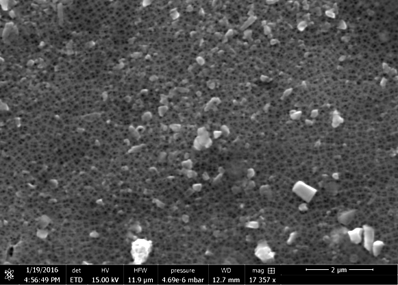 Particulates on Filter Membrane